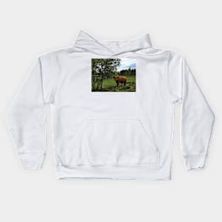 Scottish Highland Cattle Bull 1761 Kids Hoodie